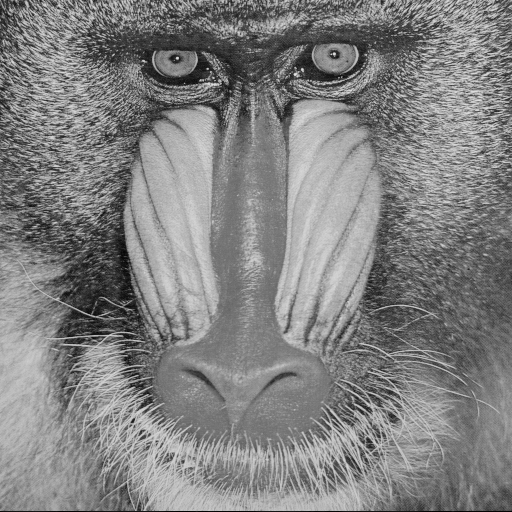 Baboon_decom_N3_M12_1_3_7_Z1_I2.png