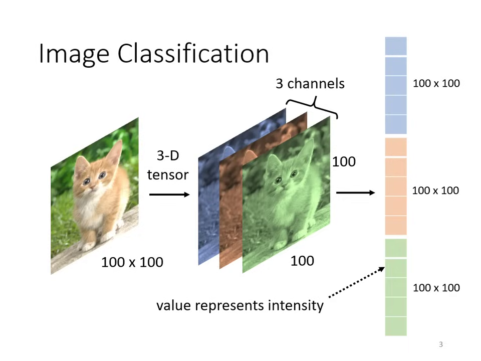 fully-connected-network-1